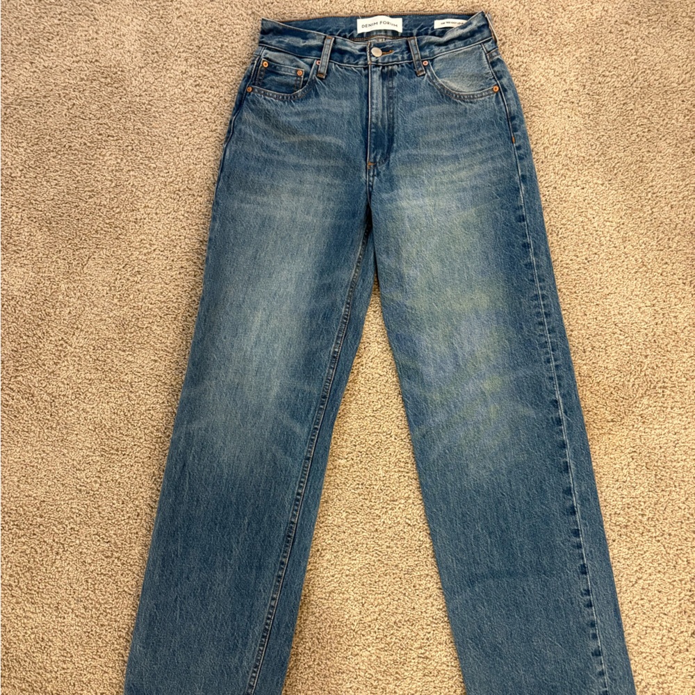 Aritzia Denim Forum Low rise baggy Iggy jeans